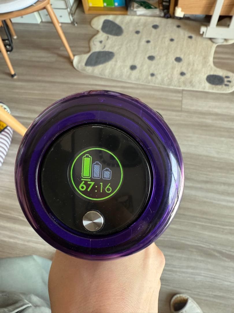 Dyson掃除機　ダイソン　V11 Fluffy Origin スタンド付き