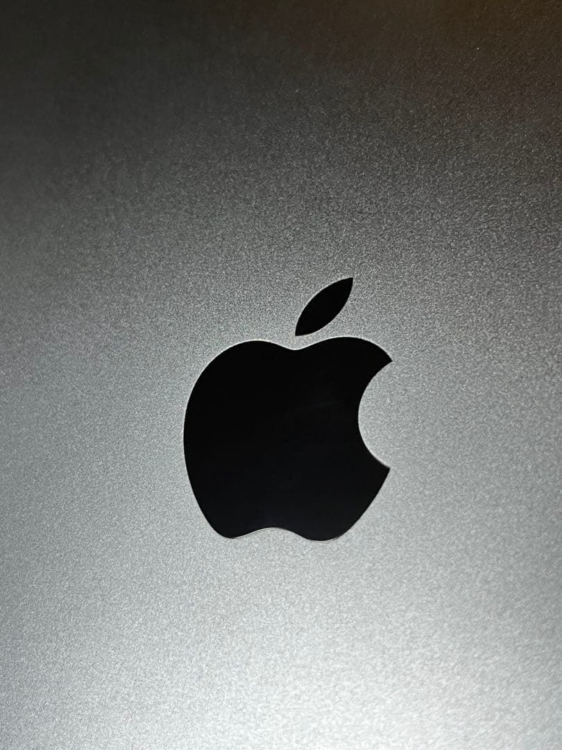 iPad Pro M4, 11インチ,256gb スペースグレー 本体 ジャンク