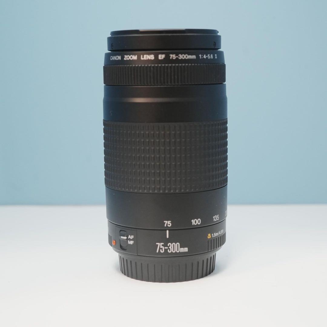 Canon純正 75-300mm 望遠レンズ 美品 a5030