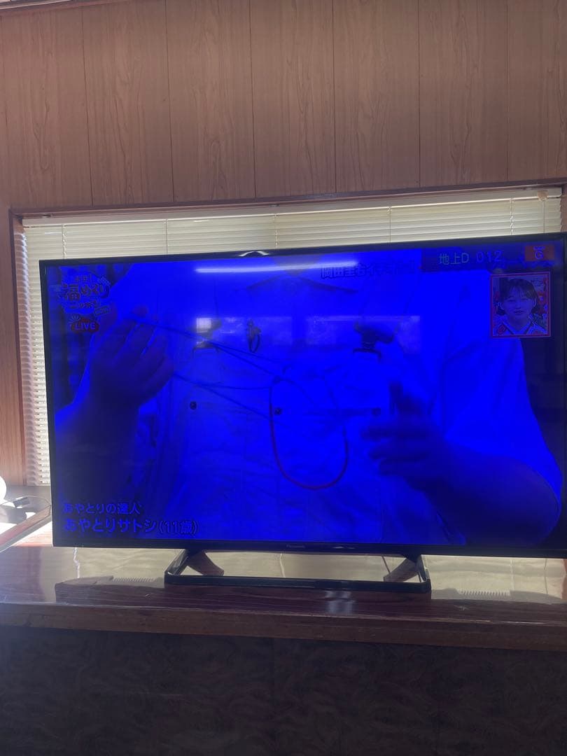 訳あり　ジャンク品【Panasonic】　TH-49D300 リモコン付