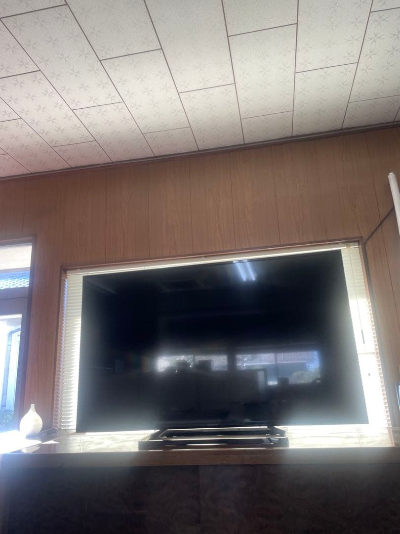 訳あり　ジャンク品【Panasonic】　TH-49D300 リモコン付