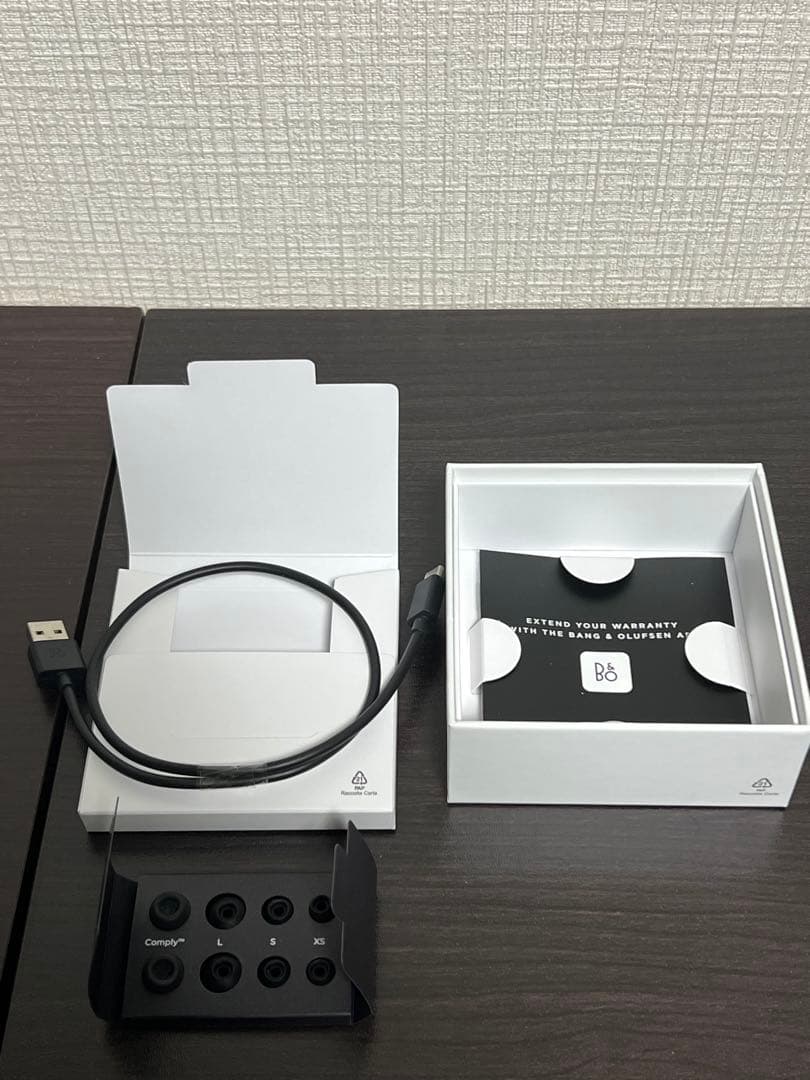 Bang & Olufsen Beoplay EXワイヤレスイヤホン ジャンク品