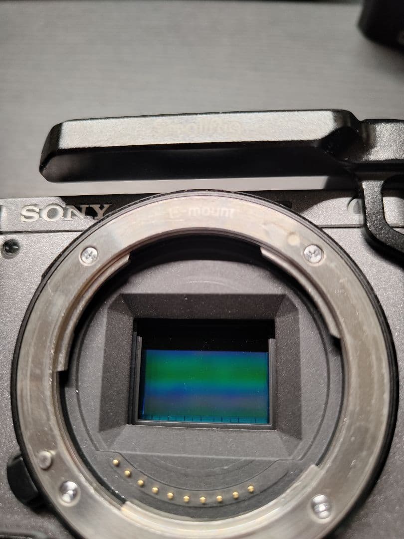 「極美品」「防湿庫保管」Sony a6600