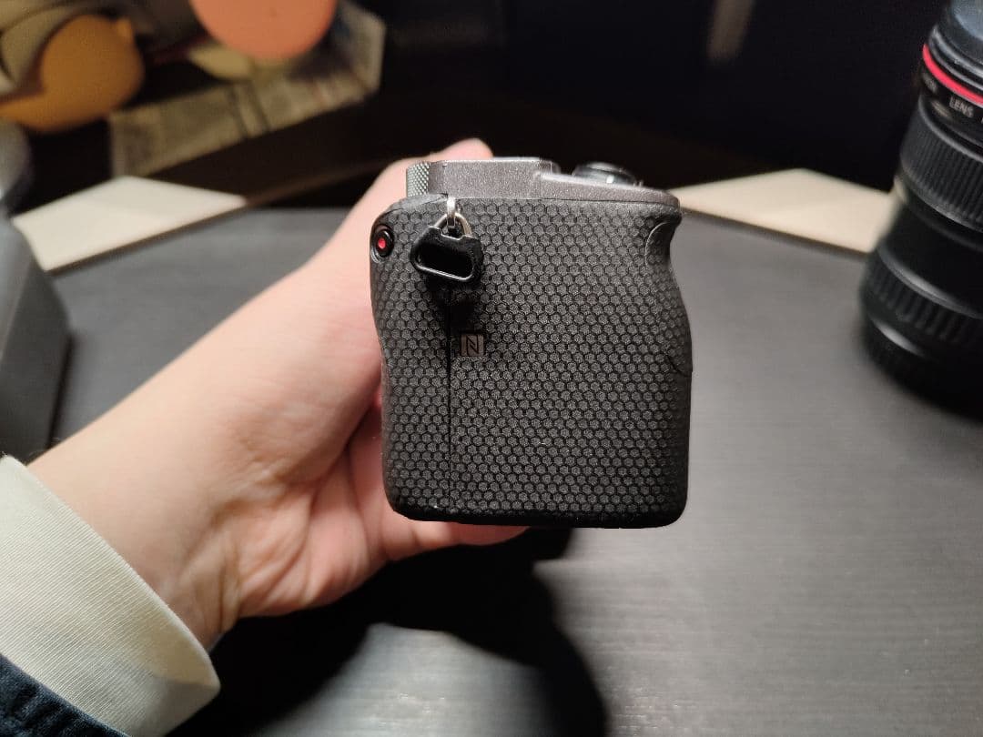 「極美品」「防湿庫保管」Sony a6600