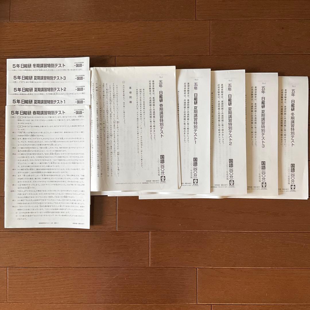 日能研 5年 2022年度　育成+公開+思考力+期間講習+記述力　テスト一式