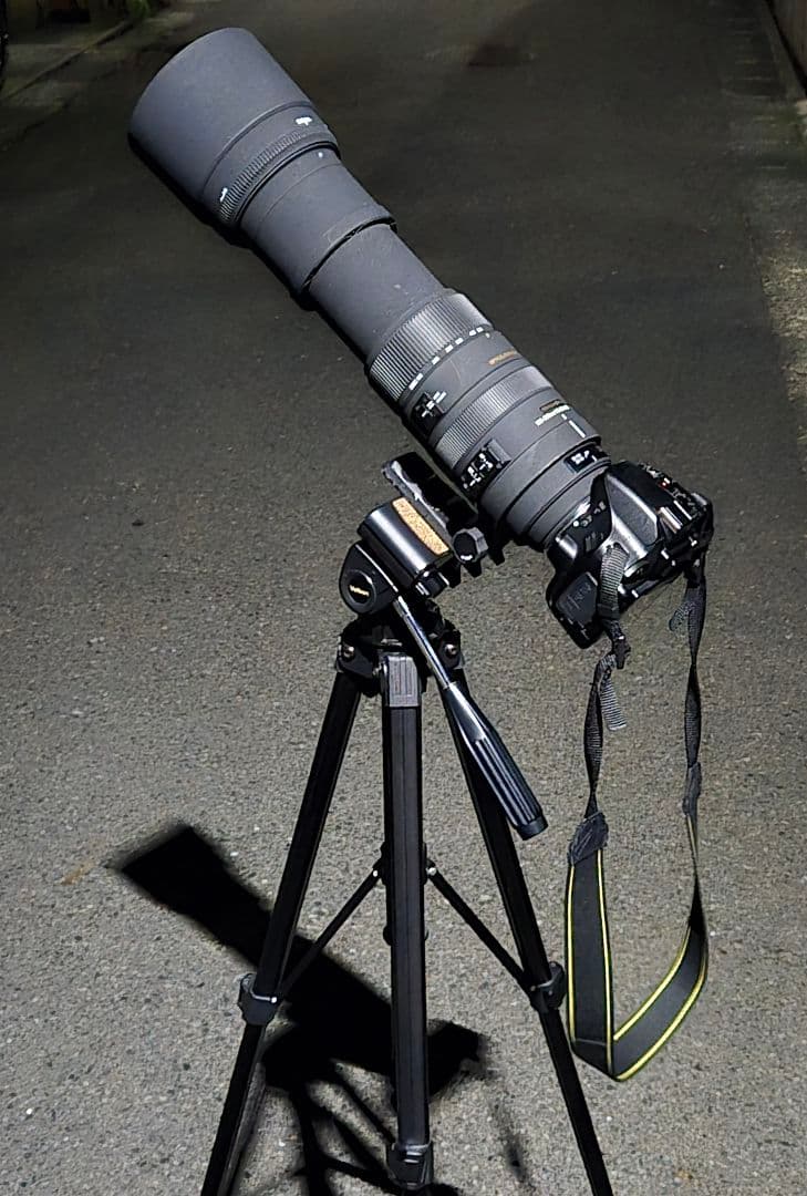 sigma DG 150-500 5-6.3　ニコン Fマウント　超望遠　望遠