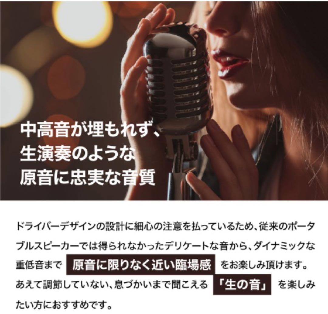 Klipsch Detroitクリプシュ デトロイト スピーカー