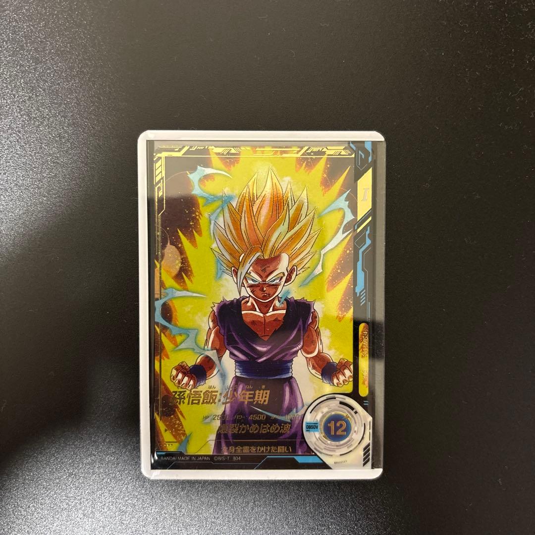 SDV1-005 パラレル 孫悟飯少年期