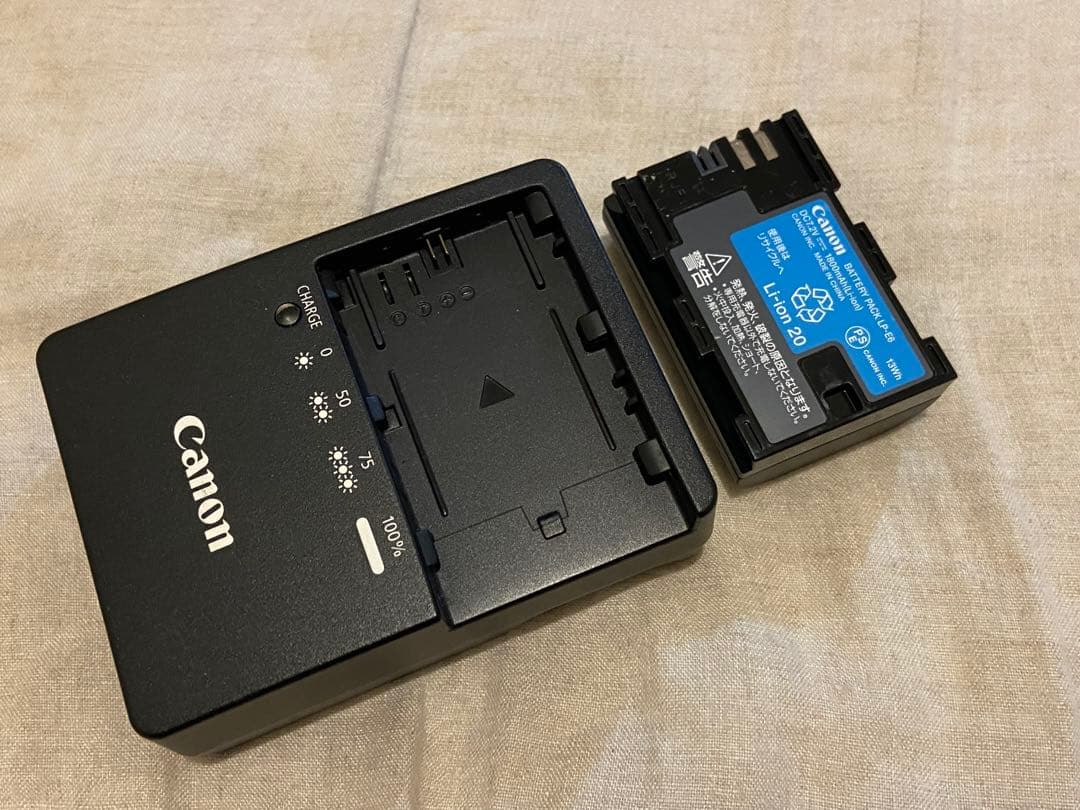 Canon EOS 6D 美品 ショット数3,000以内 スクリーン交換済