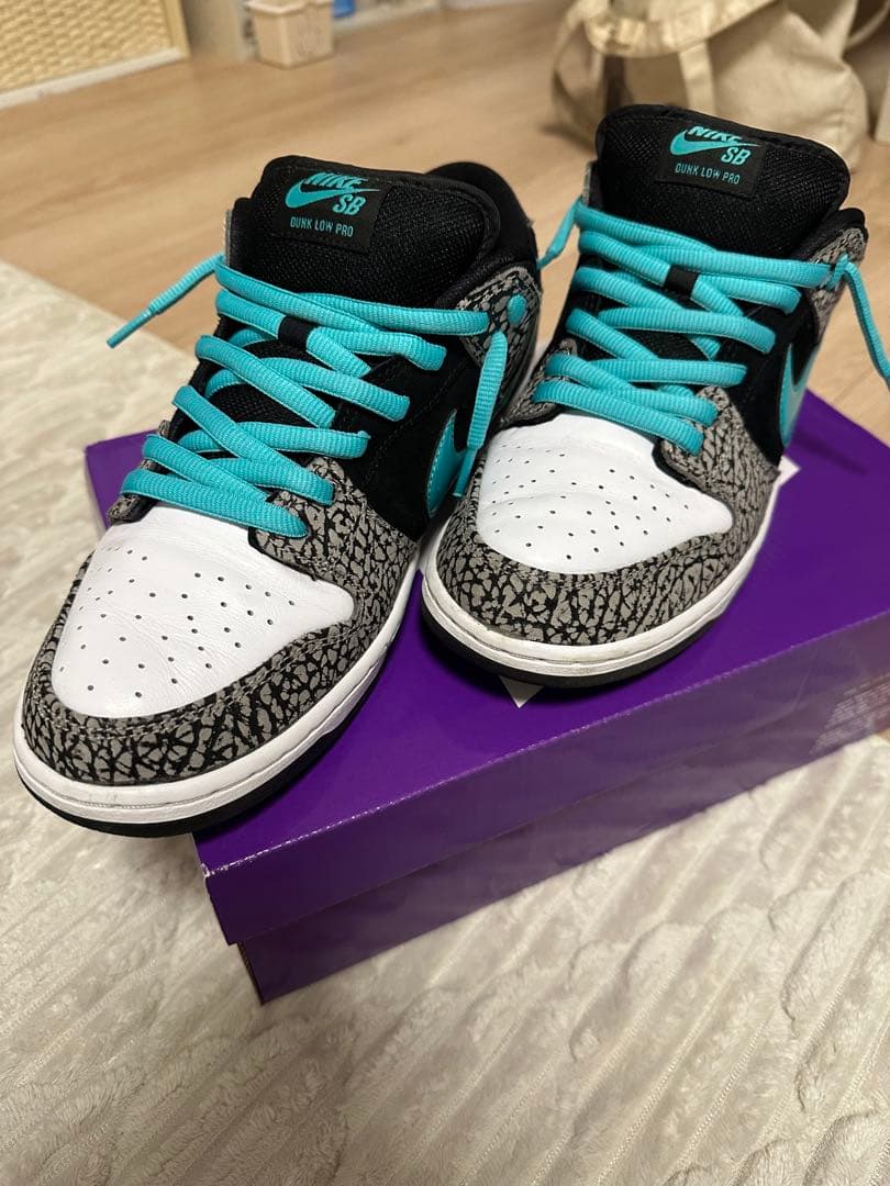 靴 Nike SB Dunk Low \