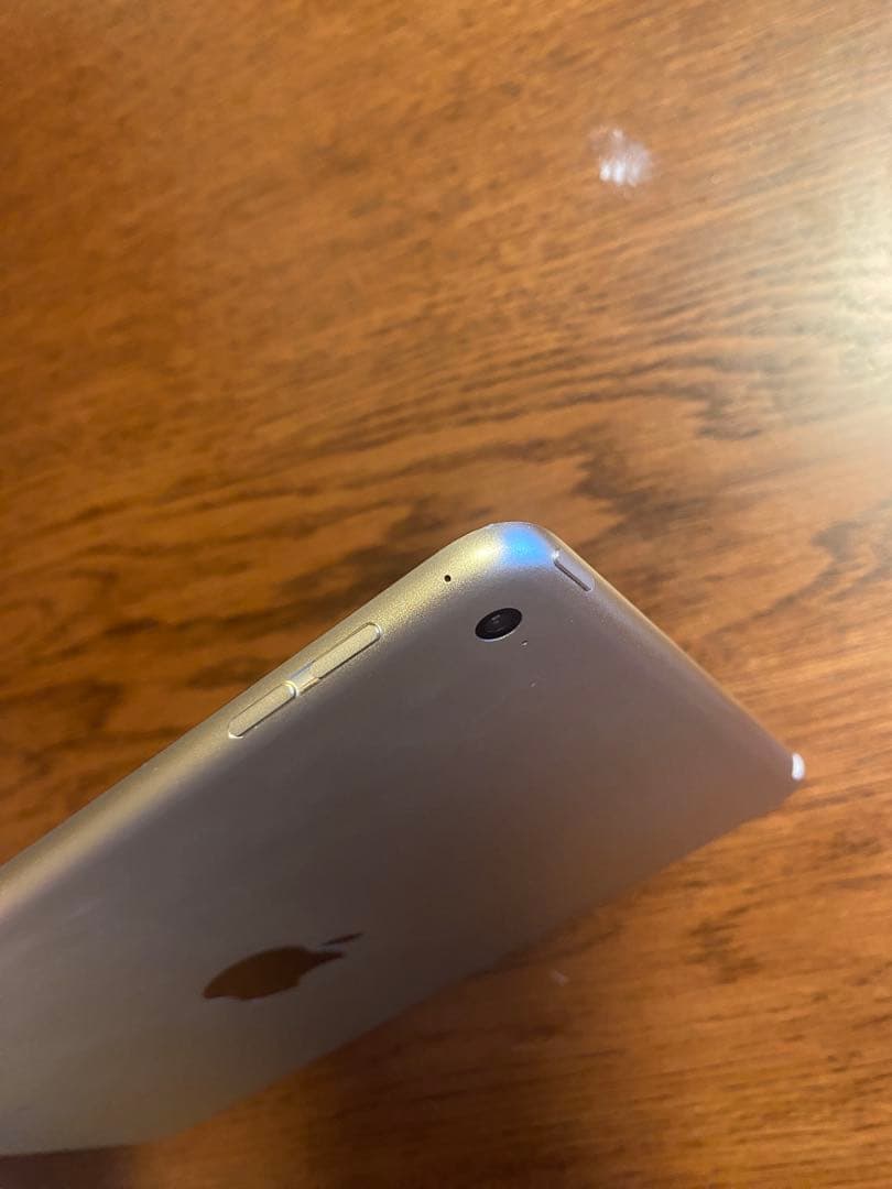 dragon様 【24時間有効】iPad mini4ゴールド 128G