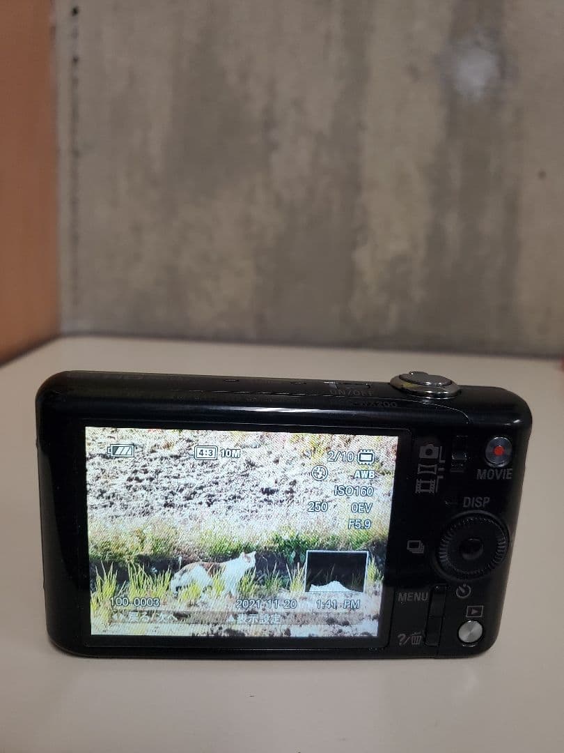 Sony Cyber-shot DSC-WX200 デジカメ　本体　バッテリー