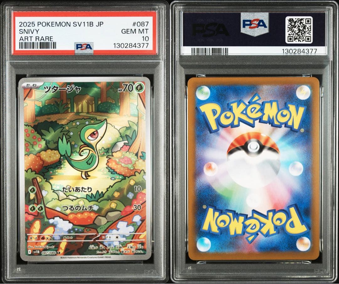 PSA10 ３連番 御三家 ツタージャ ポカブ ミジュマル AR ブラホワ