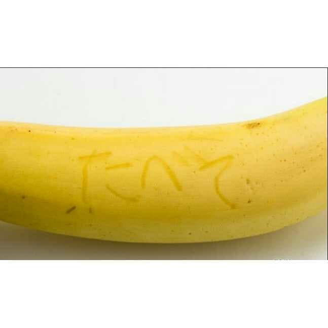 コメント専用　バナペン