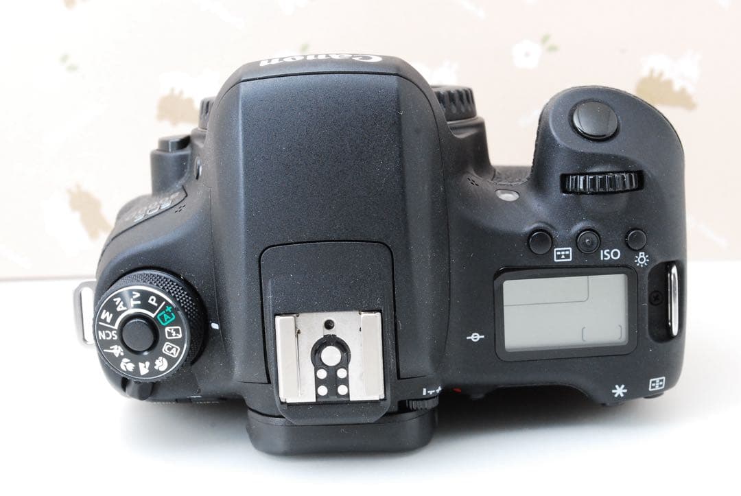 美品❤️Wi-Fi❤️Canon eos 8000D❤️自撮り❤️高性能デジタル一眼レフ