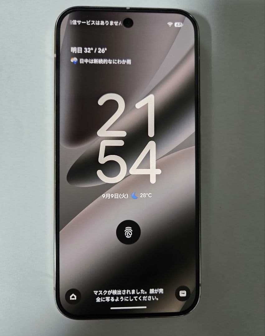 Google Pixel 10 Pro　ポーセリン