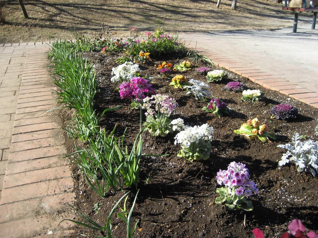 実写美⭕️【動作確認済】Canon　IXY　DIGITAL 70 PC1193