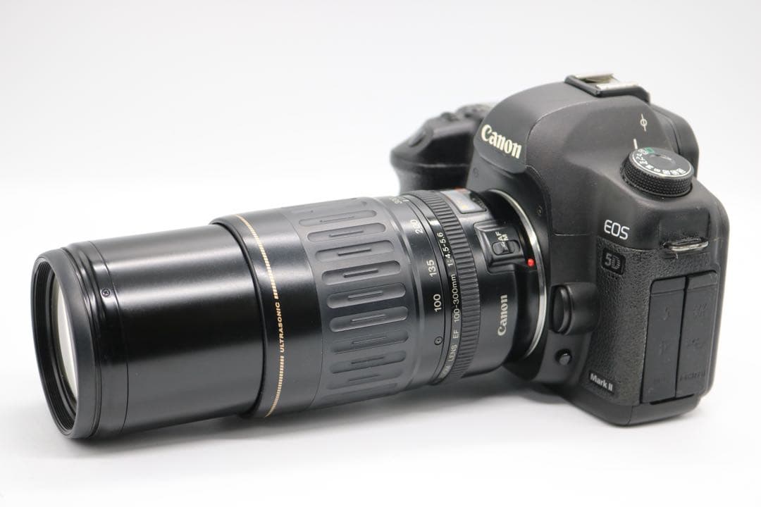 【Canon EOS 5D Mark Ⅱ ダブルレンズセット】 初期不良返品あり