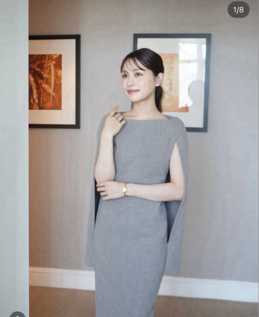 laubeblanc Narrow line Cape Dress Mサイズ