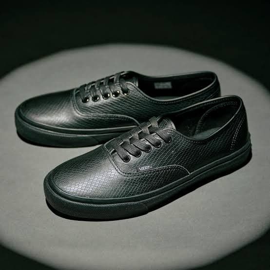 靴 Vans Year of the Snake Authentic 26cm