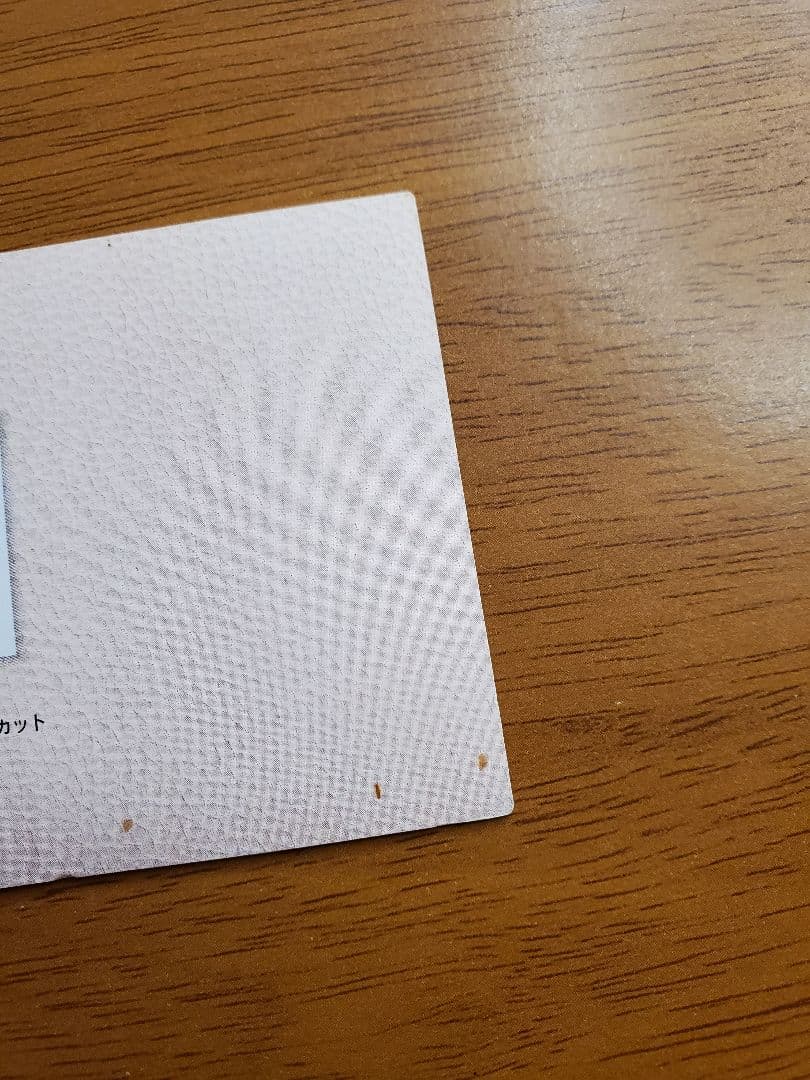 初版　スラムダンク　カードダスマスターズ　イラストコレクション　SP2 流川楓