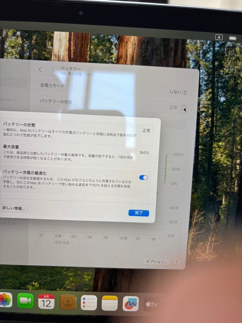 【箱、Masic Mouse付】MacBook Pro M1 13インチ