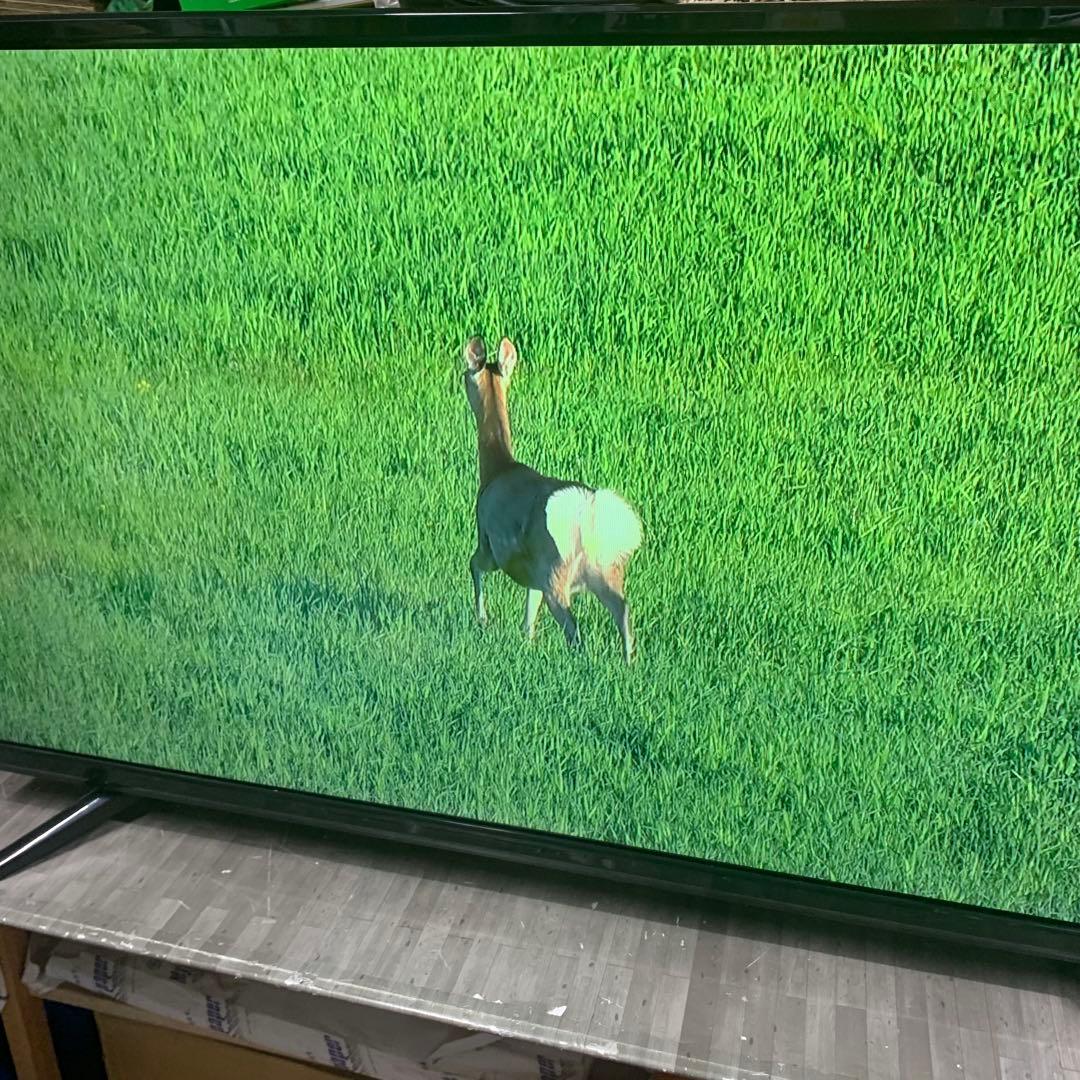 TEES 液晶テレビ　39インチ　LE-393S2KT 2021年製