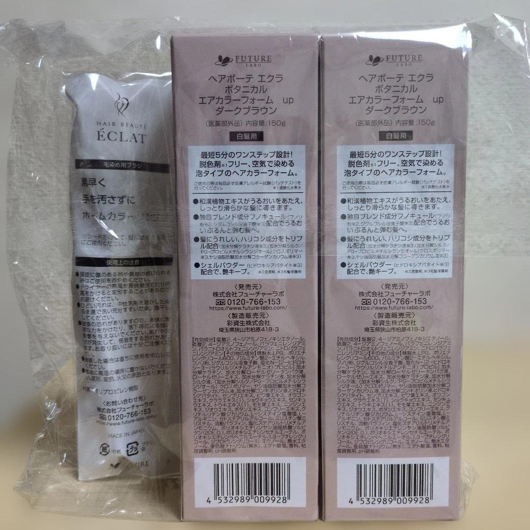 ヘアボーテ エクラ ボタニカル エアカラーフォーム up ダークブラウン 2個組