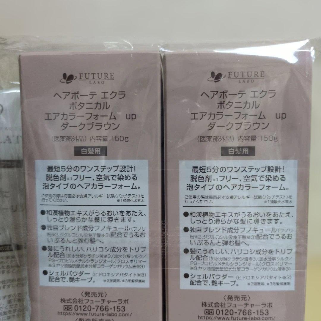 ヘアボーテ エクラ ボタニカル エアカラーフォーム up ダークブラウン 2個組