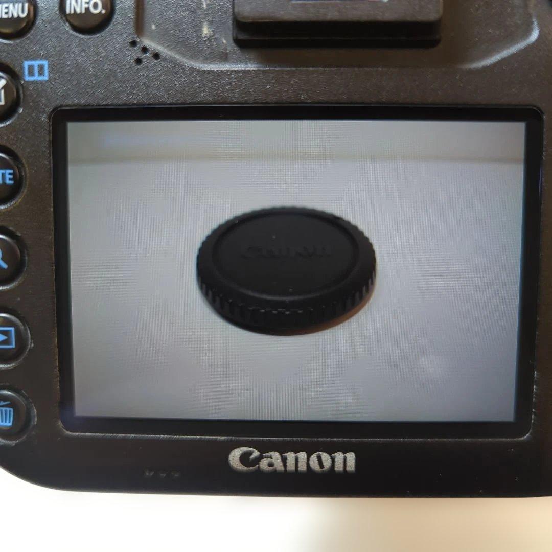 Canon EOS 7D Mark II レンズセット