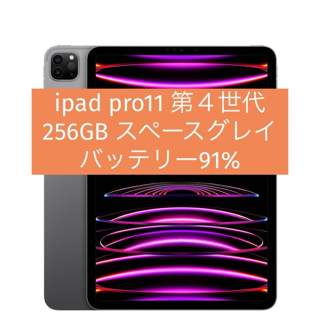 iPadPro11インチ第4世代256GB