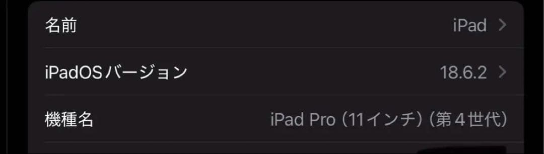 iPadPro11インチ第4世代256GB