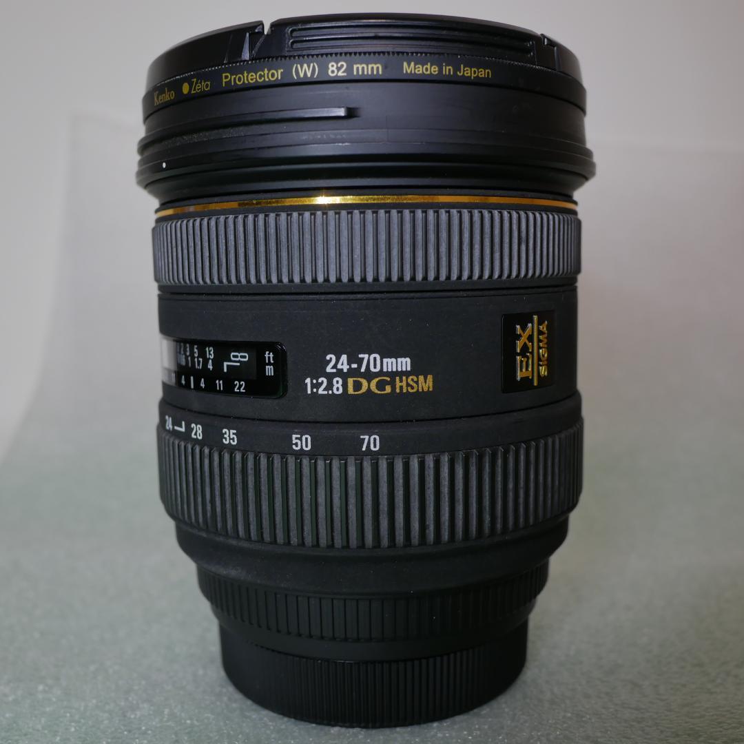 ビデオカメラ BMPC4K and GeniusRigCameraRig