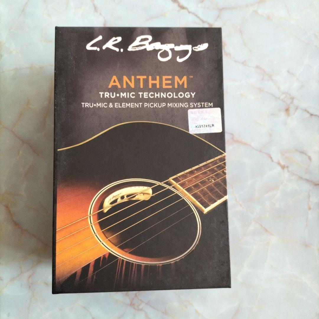 L,R Baggs Anthen　ギター