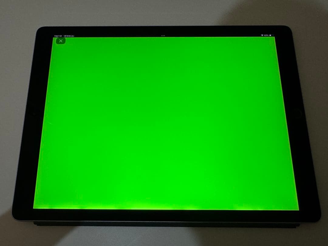 iPad Pro 12.9インチ 第2世代 Wi-Fiモデル 256GB