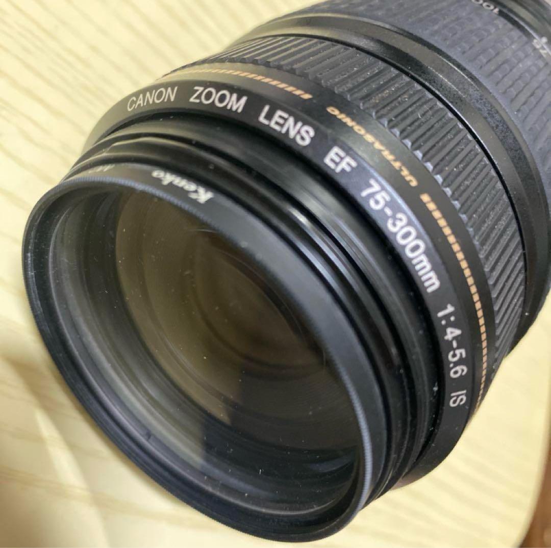 中古 Canon EF 75-300mm F4-5.6 IS USM