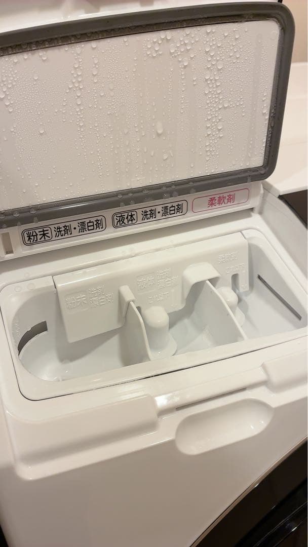 日立　ドラム洗濯機　10/6キロ　SG100E