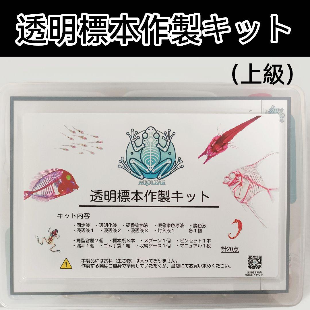 オリジナル商品【透明標本作製キット】(上級) 20点　自由研究 学習教材 改良版