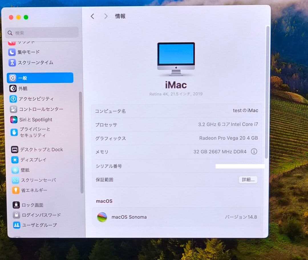 iMac 2019 21.5 メモリ32GB SSD1TB