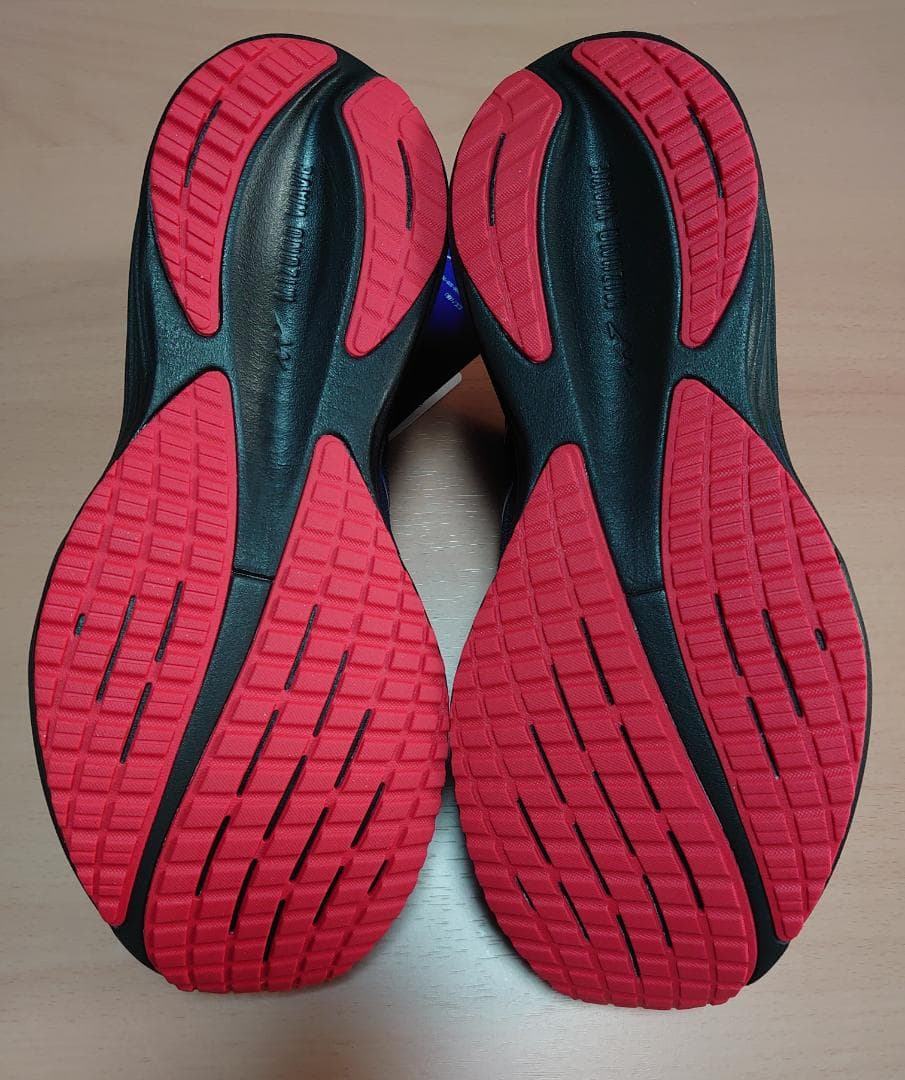 【新品タグ付き】ミズノ ウェーブライダー29 アムステルダム 27.5cm