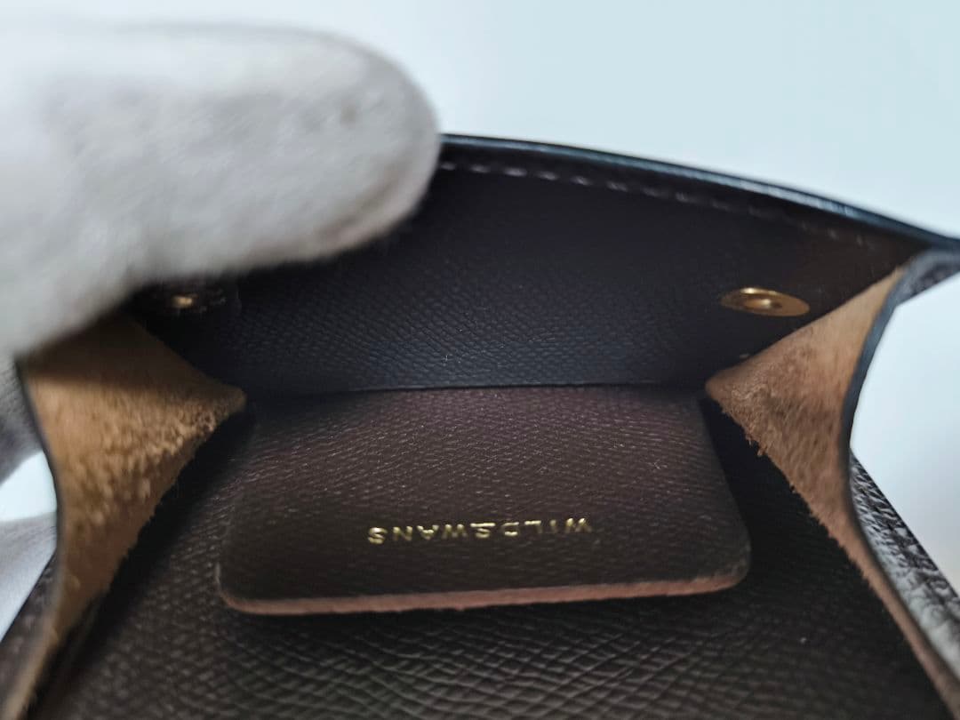 【別注】 ワイルドスワンズ タング ポント　カーサ　パーム　kf-003