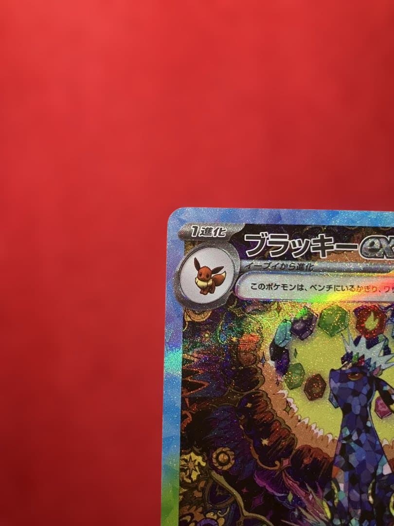 ブラッキーex SAR 217/187 テラスタルフェス　美品