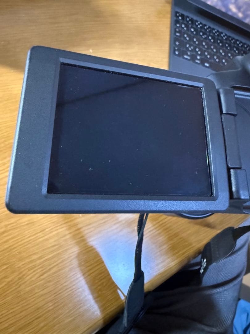 Canon PowerShot SX70HS (ケース・フードレンズ付き）