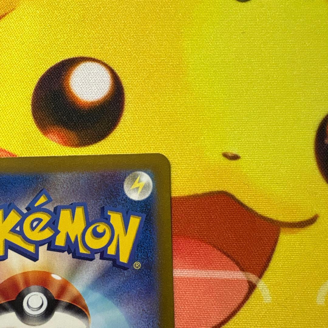 【美品】ゼイユ　SAR