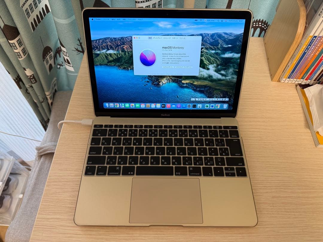 MacBook 12インチ Early 2016 8GB 256GB Gold