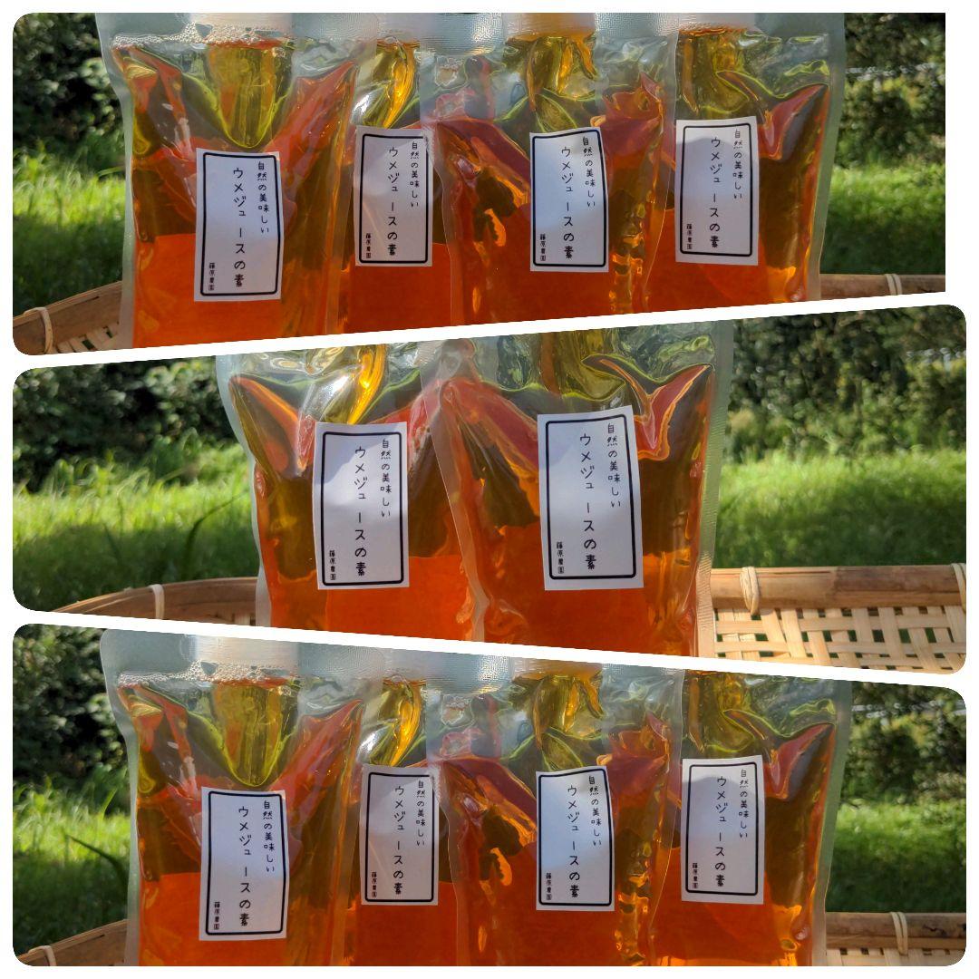 自然の美味しい梅ジュースの素（梅シロップ)x10