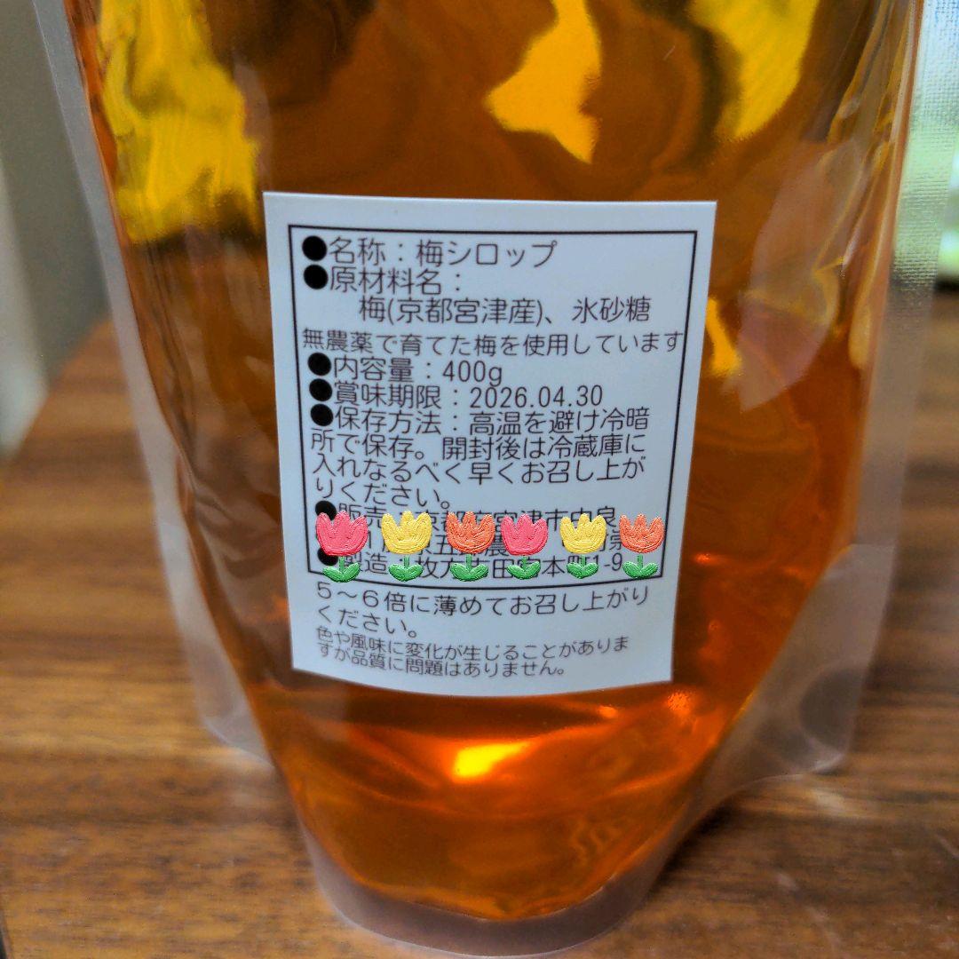 自然の美味しい梅ジュースの素（梅シロップ)x10