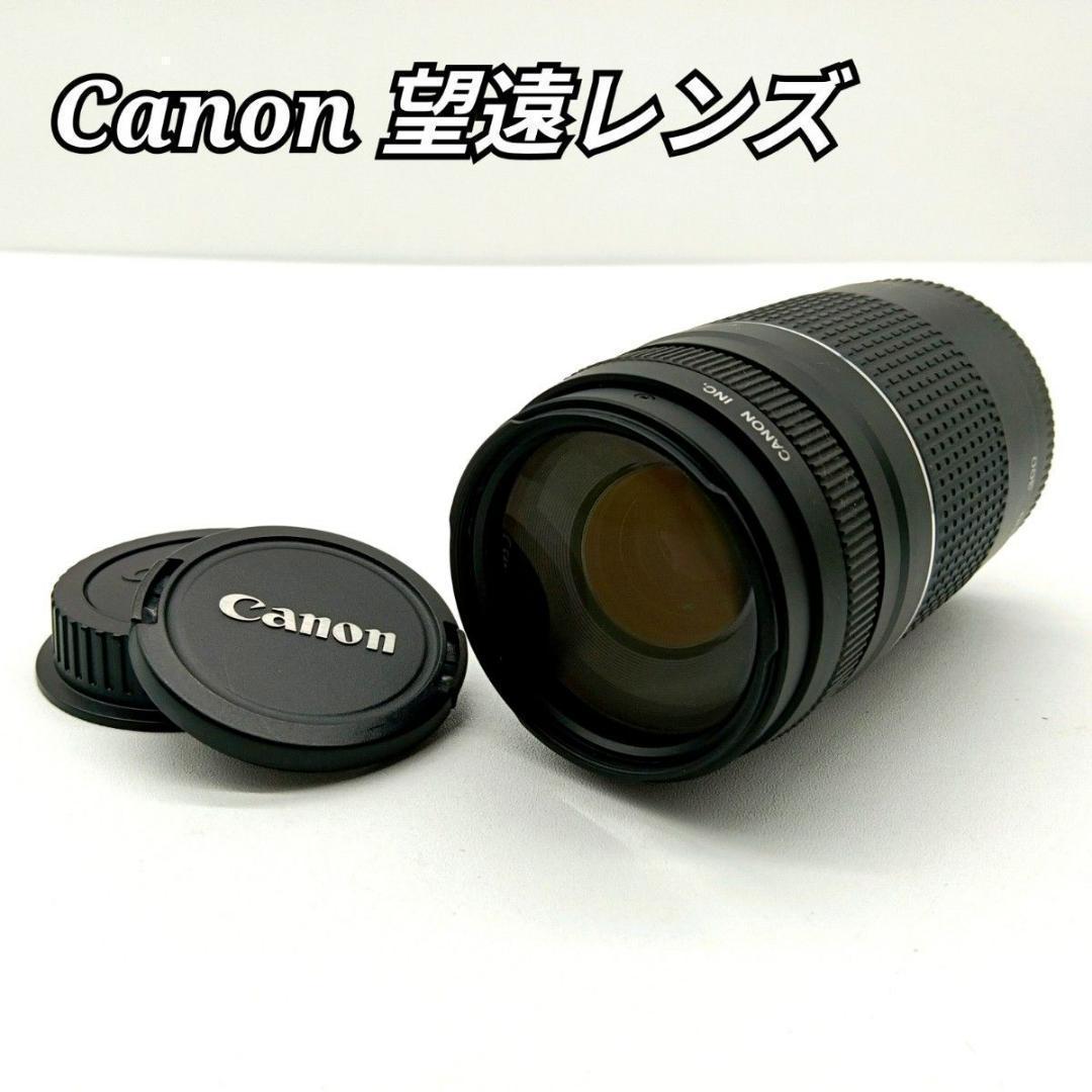 Canon 望遠レンズ EF 75-300mm F4-5.6 Ⅲ キャノン