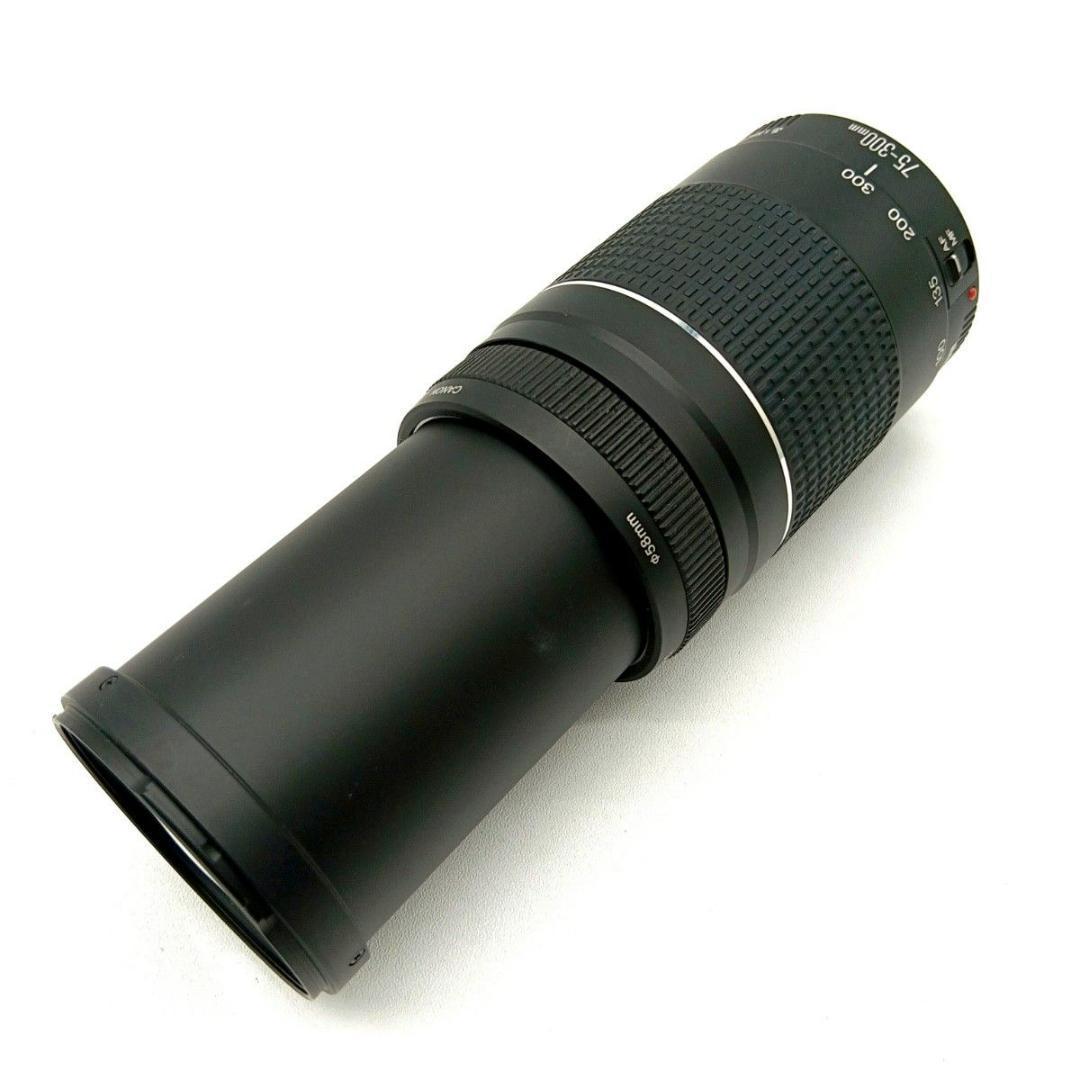 Canon 望遠レンズ EF 75-300mm F4-5.6 Ⅲ キャノン