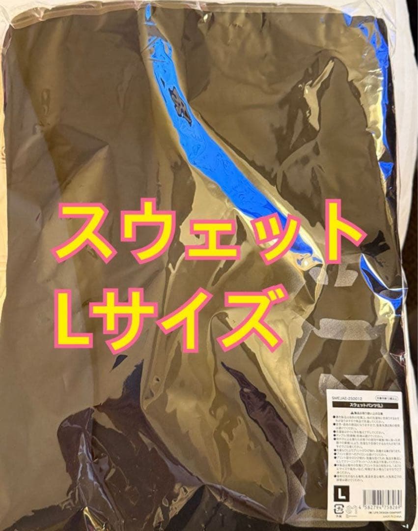 aespa aeXIS LINE ツアー グッズ スウェットパンツ　Lサイズ